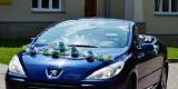 Kabriolet do ślubu - Peugeot 307cc | Auto do ślubu Krosno, podkarpackie - zdjęcie 3