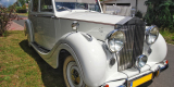 Auto do ślubu, Rolls Royce Silver Wraith 1948. Wolne terminy 2023!, Poznań - zdjęcie 2