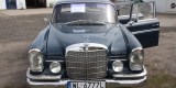 Zabytkowe Mercedesy Skrzydlak W110 W111 Ponton | Auto do ślubu Jabłonna, mazowieckie - zdjęcie 2