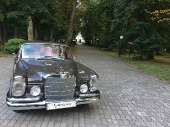 Mercedes w111 S klasa RETRO | Auto do ślubu Biała Podlaska, lubelskie