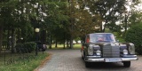 Mercedes w111 S klasa RETRO | Auto do ślubu Biała Podlaska, lubelskie - zdjęcie 2
