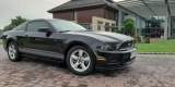 Ford Mustang samochód do ślubu | Auto do ślubu Gliwice, śląskie - zdjęcie 2