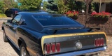 Mustang Mach 1 1969 wynajem do ślubu z kierowcą | Auto do ślubu Michałowice, mazowieckie - zdjęcie 4