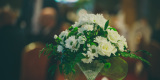 No i ślub to firma florystyczna zajmująca się dekoracją ślubną | Dekoracje ślubne Oświęcim, małopolskie - zdjęcie 4