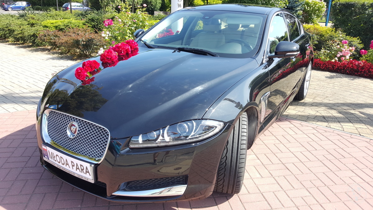 Jaguar XF i Jaguar S-TYP | Auto do ślubu Łomianki, mazowieckie - zdjęcie 1