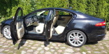 Jaguar XF, Łomianki - zdjęcie 5
