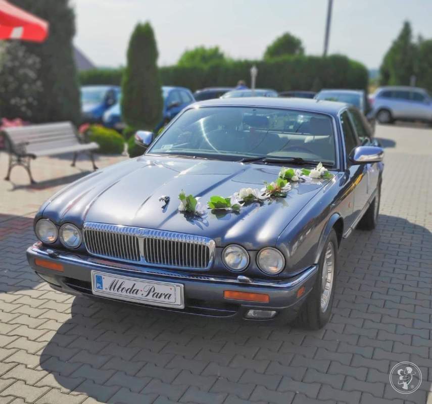 Jaguar Daimler SiX XJ6 auto do ślubu | Auto do ślubu Chrzanów, małopolskie - zdjęcie 1