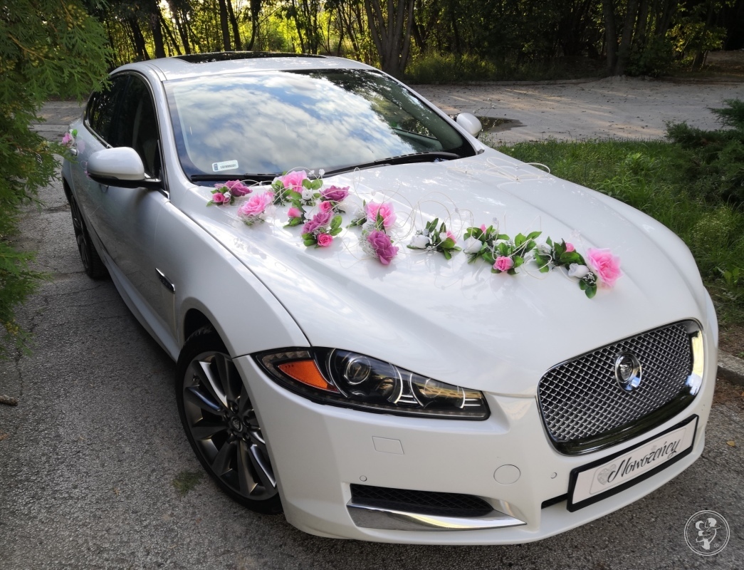 Jaguar xf luxury auto do ślubu | Auto do ślubu Lublin, lubelskie - zdjęcie 1