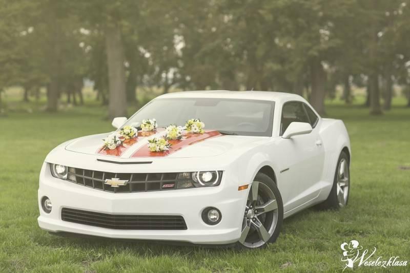 Chevrolet Camaro Ss Oraz Camaro Cabrio Wroclaw Opinie Cena Weselezklasa Id 10308