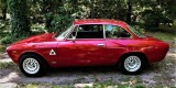 Alfa Romeo Stelvio 280KM / Alfa Romeo Giulia GT Junior 1973, Kraków - zdjęcie 5