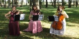 TrioGracja - oprawa muzyczna, Poznań - zdjęcie 6