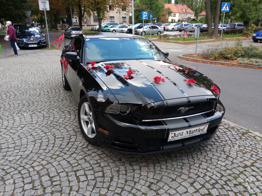 Ford Mustang samochód do ślubu | Auto do ślubu Gliwice, śląskie - zdjęcie 1