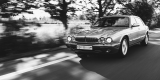 Jaguar Xj 308 | Auto do ślubu Tomaszów Lubelski, lubelskie - zdjęcie 4