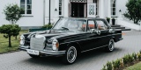Zabytkowe Mercedesy W136 i W108 | Auto do ślubu Gdańsk, pomorskie - zdjęcie 4