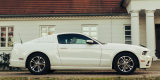 Perłowy Ford Mustang | Auto do ślubu Ozorków, łódzkie - zdjęcie 3