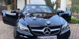 Auto do ślubu Mercedes Benz-250 Cabrio, Opalenica - zdjęcie 3