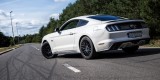 Ford Mustang GT 5.0 V8 - | Auto do ślubu Puławy, lubelskie - zdjęcie 3