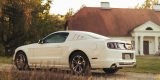 Perłowy Ford Mustang, Ozorków - zdjęcie 6