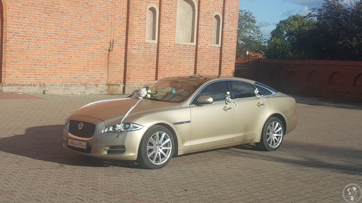 Jaguar xj 351 Supersport | Auto do ślubu Elbląg, warmińsko-mazurskie - zdjęcie 1