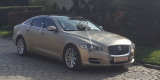 Jaguar xj 351 Supersport | Auto do ślubu Elbląg, warmińsko-mazurskie - zdjęcie 4