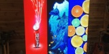 Ekran led z dowolnym motywem ślubnym - multimedia jako dekoracja, Niepołomice - zdjęcie 2