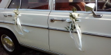 Auto do ślubu zabytkowy mercedes biały ślub retro, Wierzchowiny - zdjęcie 4