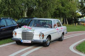 Auto do ślubu zabytkowy mercedes biały ślub retro, Samochód, auto do ślubu, limuzyna Hrubieszów