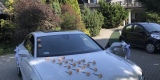 Audi A7 wynajem z kierowcą. Atrakcyjne ceny, Kraków - zdjęcie 4