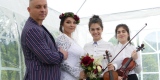 Skrzypce- oprawa muzyczna ślubów, imprez okolicznościowych, Kraków - zdjęcie 3