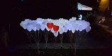 Balony LED- Pudło balonowe - ATRAKCJE WESELNE, Katowice - zdjęcie 3