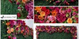tło za Młodą Parą - ścianki kwiatowe, bukszpanowe,  napis MIŁOŚĆ | Dekoracje ślubne Lublin, lubelskie - zdjęcie 3