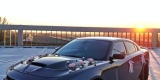 Dogde charger hellcat 900hp,Mercedes E, Camaro,Corvette, mustang | Auto do ślubu Katowice, śląskie - zdjęcie 3