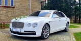 Bentley, Maserati, Jaguar, Phantom | Auto do ślubu Warszawa, mazowieckie - zdjęcie 5