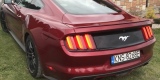 Mustang do ślubu poprowadź Go! | Auto do ślubu Nowy Sącz, małopolskie - zdjęcie 3