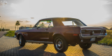 Ford Mustang 1968 | Auto do ślubu Suwałki, podlaskie - zdjęcie 2