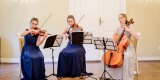 Trio Gracja - oprawa muzyczna, Poznań - zdjęcie 6