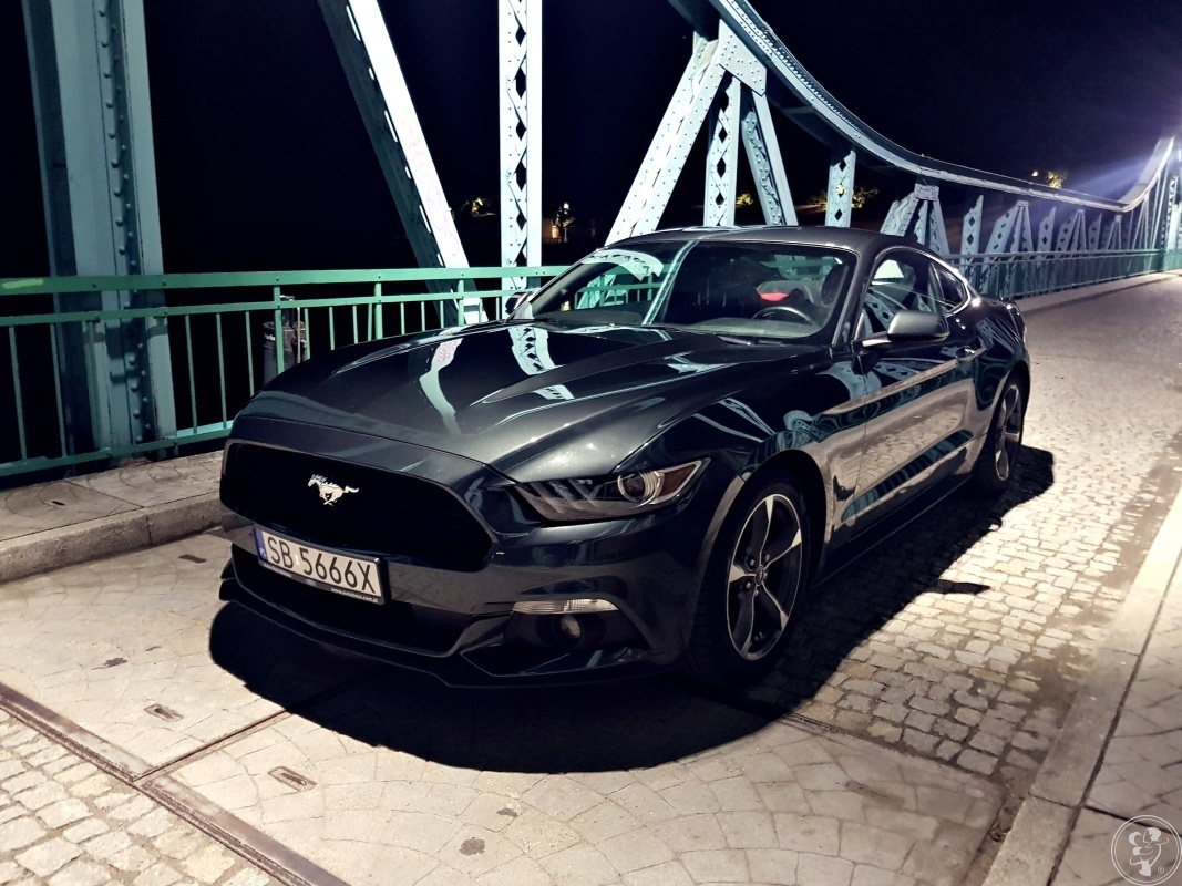 American Dream czyli Ford Mustang | Auto do ślubu Bielsko-Biała, śląskie - zdjęcie 1