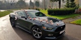 American Dream czyli Ford Mustang | Auto do ślubu Bielsko-Biała, śląskie - zdjęcie 2