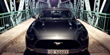 American Dream czyli Ford Mustang | Auto do ślubu Bielsko-Biała, śląskie - zdjęcie 3