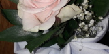 La Rose Dekoracje, Ślesin - zdjęcie 5