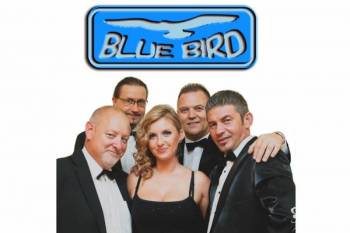 Zespół Muzyczny BLUE BIRD, Zespoły weselne Grudziądz