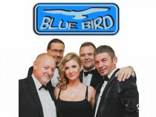 Zespół Blue Bird | Zespół muzyczny Bydgoszcz, kujawsko-pomorskie