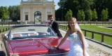 Kabriolet 6 osobowy Sportowe różowe coupe limuzyna | Auto do ślubu Białystok, podlaskie - zdjęcie 3