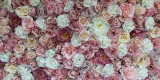 Ścianka kwiatowa tło za Parą Młodą na wesele, Konin - zdjęcie 4