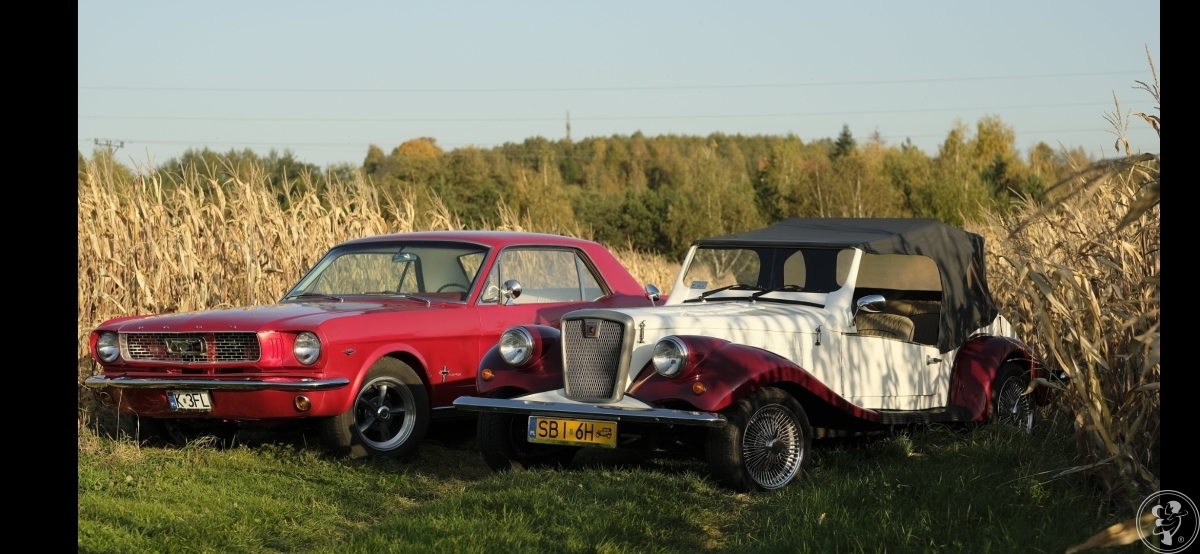 Retro Samochód - Auto do ślubu - Ford Mustang 1966r - Replika Spratan | Auto do ślubu Kęty, małopolskie - zdjęcie 1