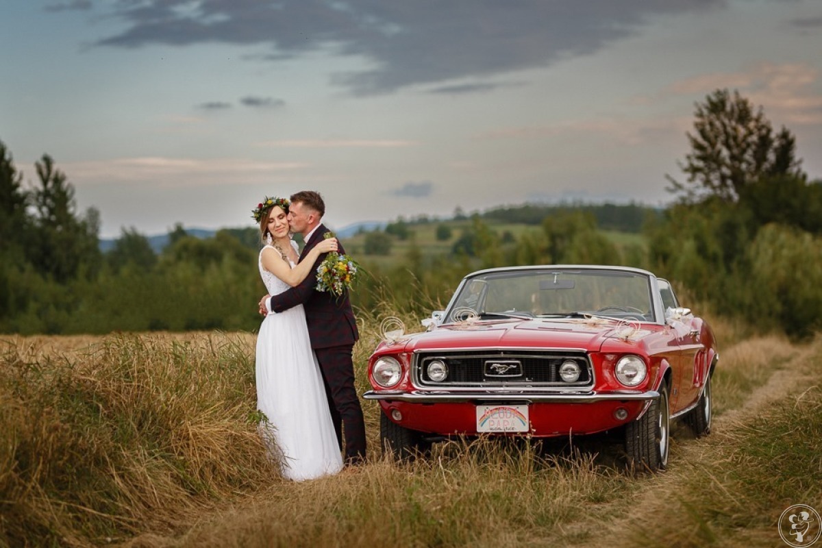 Auto na ślub wesele wynajem Ford Mustang Cabrio, Camaro- Ty Prowadzisz, Rzeszów - zdjęcie 1