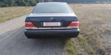 Eleganckie, klasyczne Mercedesy do ślubu! Wolne Terminy 2020, Łódź - zdjęcie 3