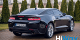 Chevrolet Camaro IV do ślubu, Kalisz - zdjęcie 6