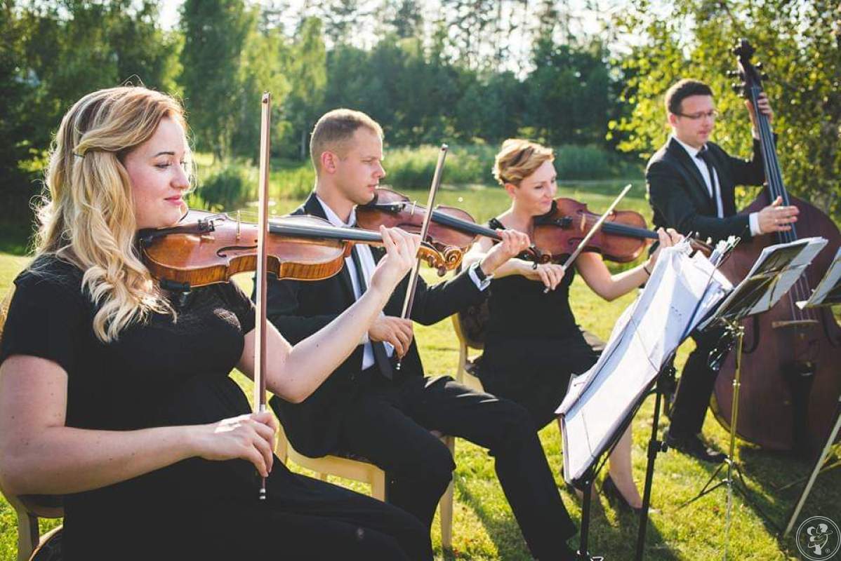 Kwartet Smyczkowy Primavera 🎻Oprawa muzyczna ślubu🎶 eventy🎶 koncert | Oprawa muzyczna ślubu Białystok, podlaskie - zdjęcie 1