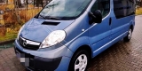 WYNAJEM BUSÓW, BUSA z kierowcą, obsługa kompleksowa wesel, imprez, Czerwionka-Leszczyny - zdjęcie 5